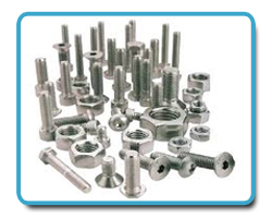 Stainless & Duplex Steel Fasteners Stainless & Duplex Steel Fasteners
